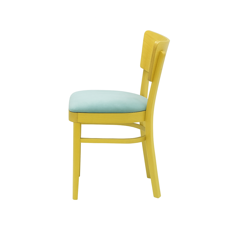 Scaun catifea BEJ | model DESA